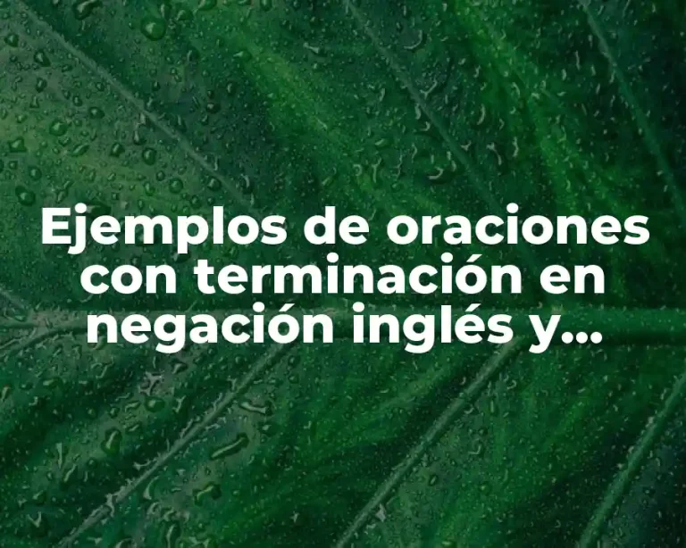 Ejemplos de oraciones con terminación en negación inglés y español