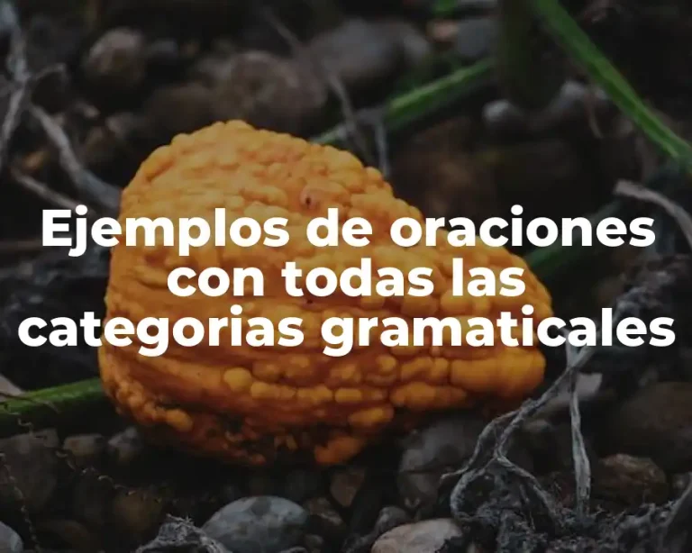 Ejemplos de oraciones con todas las categorias gramaticales