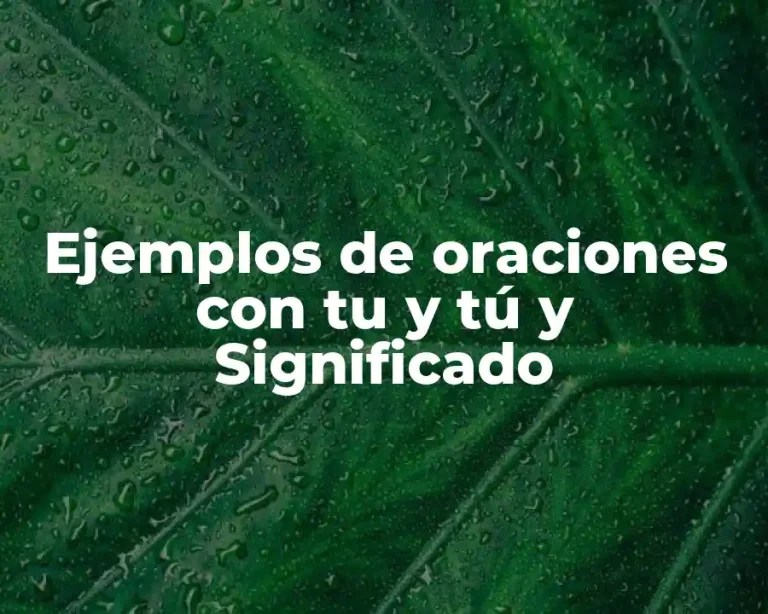 Ejemplos de oraciones con tu y tú y Significado