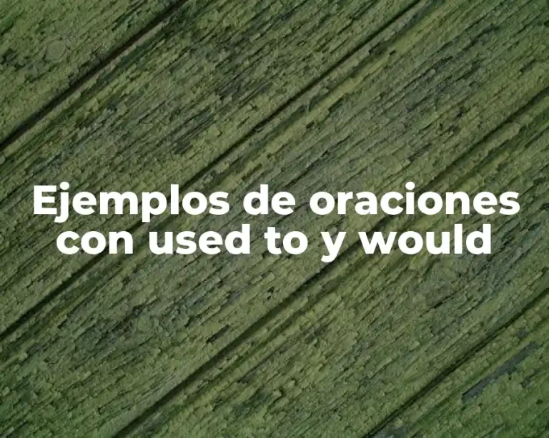 Ejemplos de oraciones con used to y would