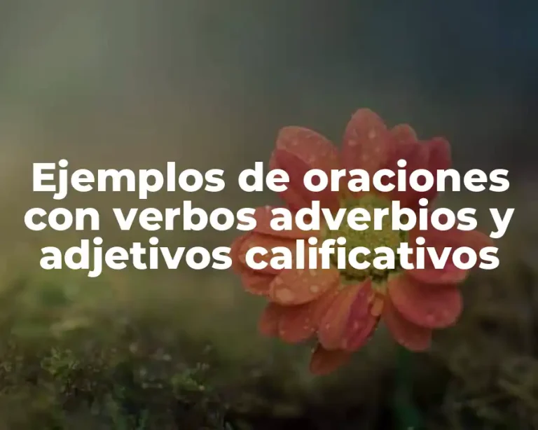 Ejemplos de oraciones con verbos adverbios y adjetivos calificativos