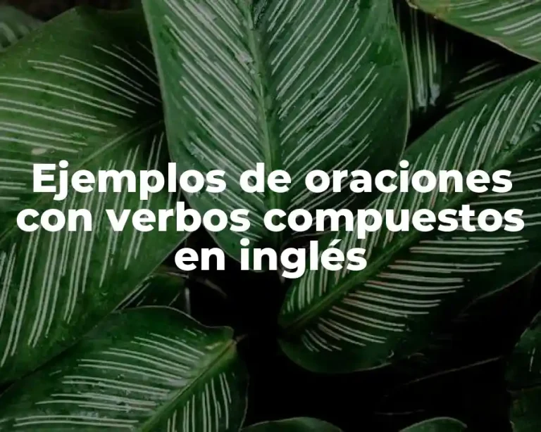 Ejemplos de oraciones con verbos compuestos en inglés