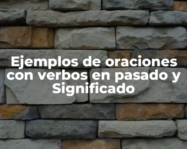 Ejemplos de oraciones con verbos en pasado y Significado