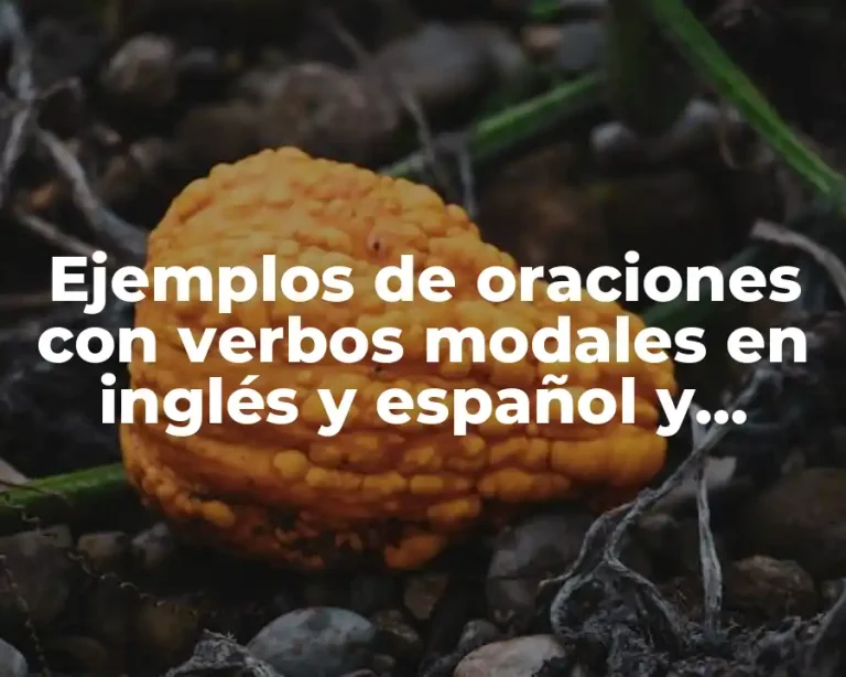 Ejemplos de oraciones con verbos modales en inglés y español y Significado