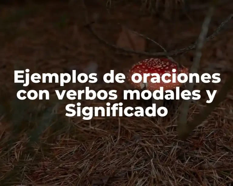 Ejemplos de oraciones con verbos modales y Significado