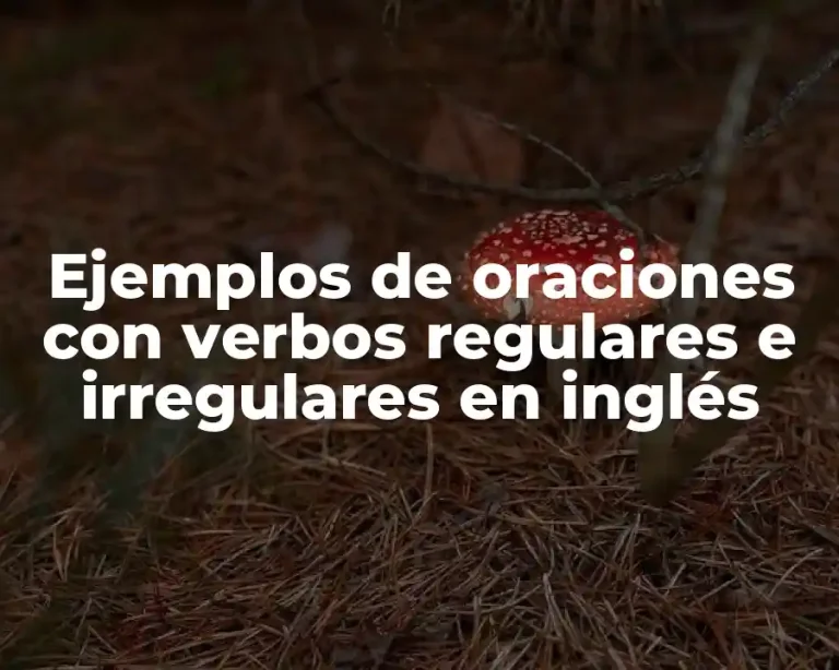Ejemplos de oraciones con verbos regulares e irregulares en inglés