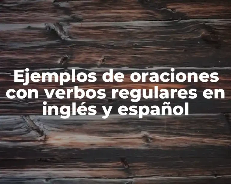 Ejemplos de oraciones con verbos regulares en inglés y español