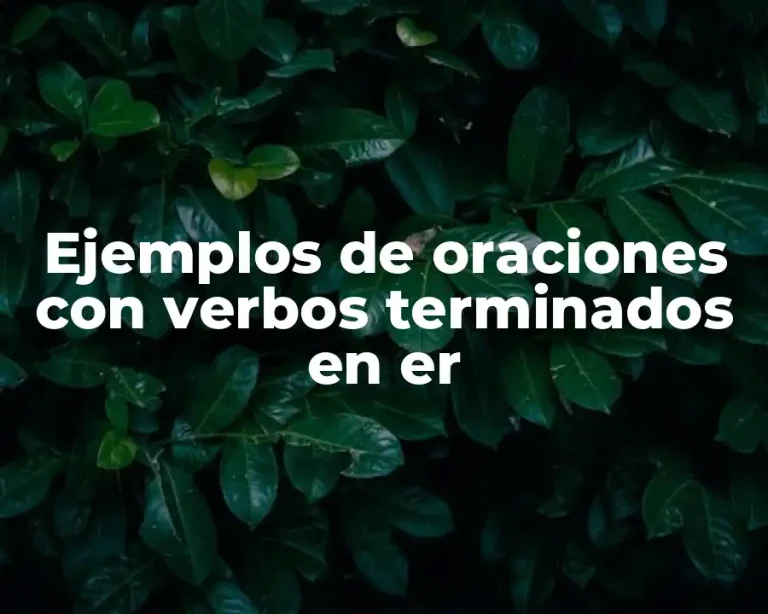 Ejemplos de oraciones con verbos terminados en er