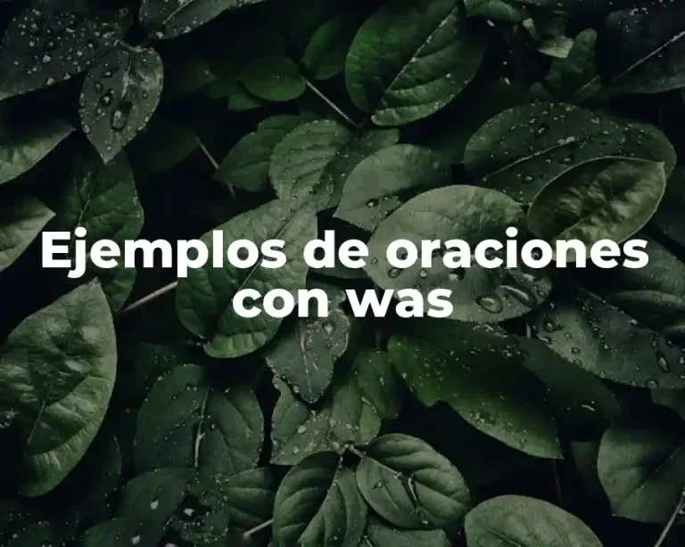 Ejemplos de oraciones con was