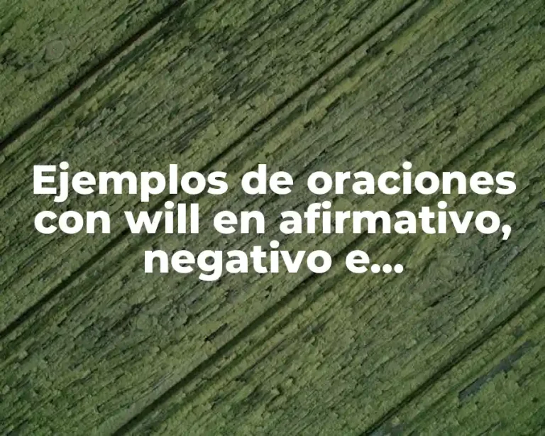 Ejemplos de oraciones con will en afirmativo, negativo e interrogativo