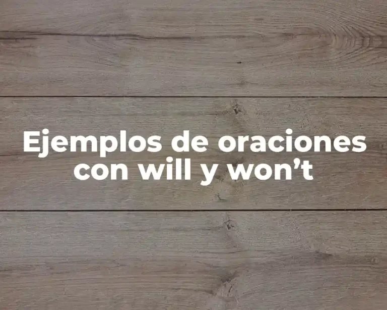 Ejemplos de oraciones con will y won’t