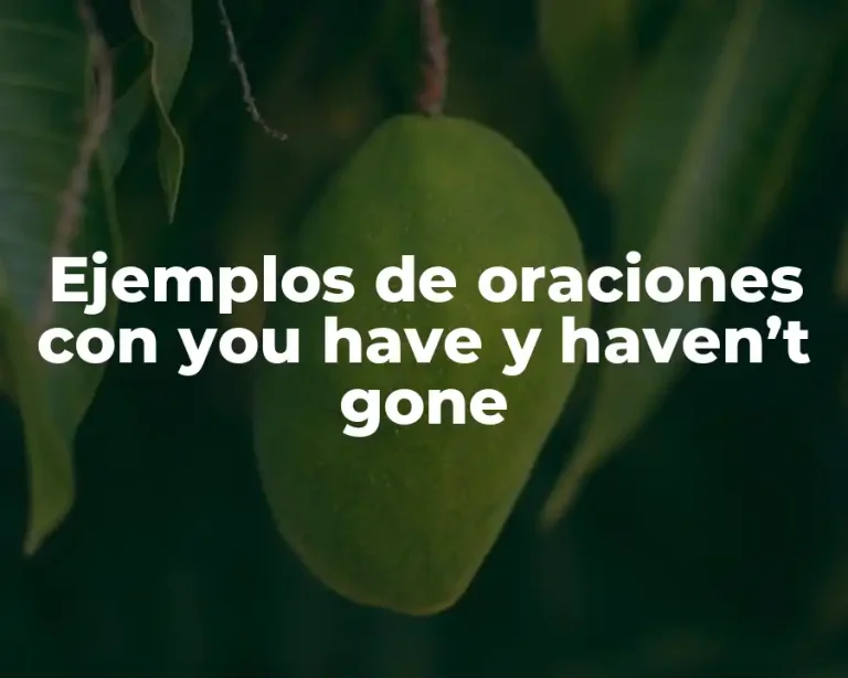Ejemplos de oraciones con you have y haven’t gone