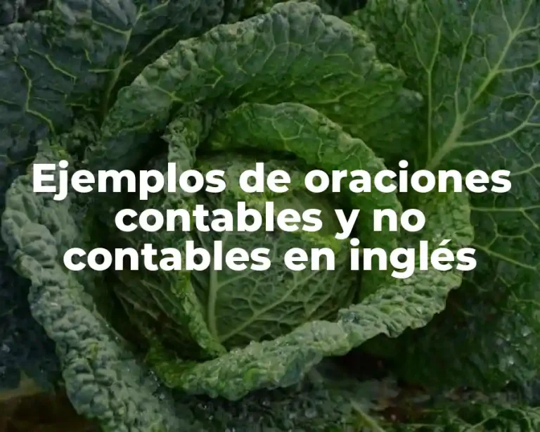 Ejemplos de oraciones contables y no contables en inglés