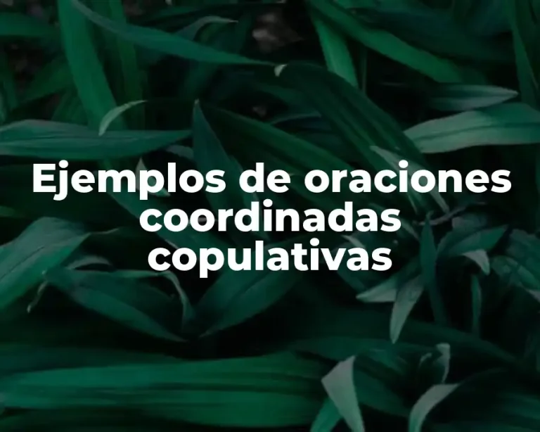 Ejemplos de oraciones coordinadas copulativas