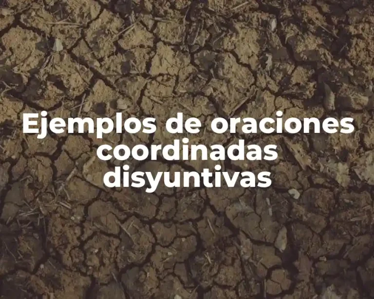 Ejemplos de oraciones coordinadas disyuntivas