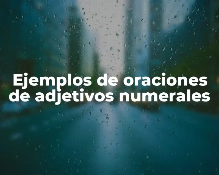 Ejemplos de oraciones de adjetivos numerales