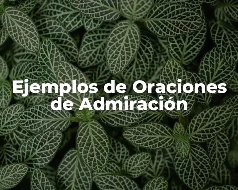 Ejemplos de Oraciones de Admiración
