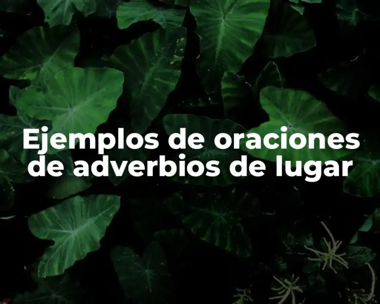 Ejemplos de oraciones de adverbios de lugar