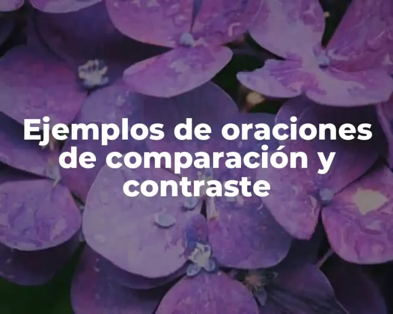 Ejemplos de oraciones de comparación y contraste