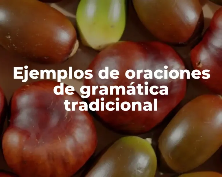 Ejemplos de oraciones de gramática tradicional