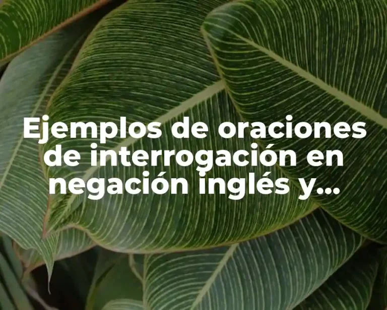 Ejemplos de oraciones de interrogación en negación inglés y español y Significado