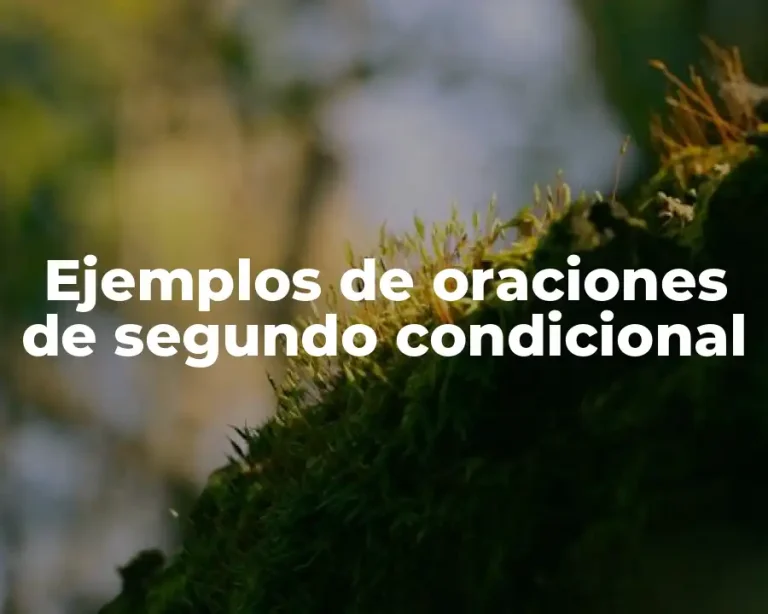 Ejemplos de oraciones de segundo condicional