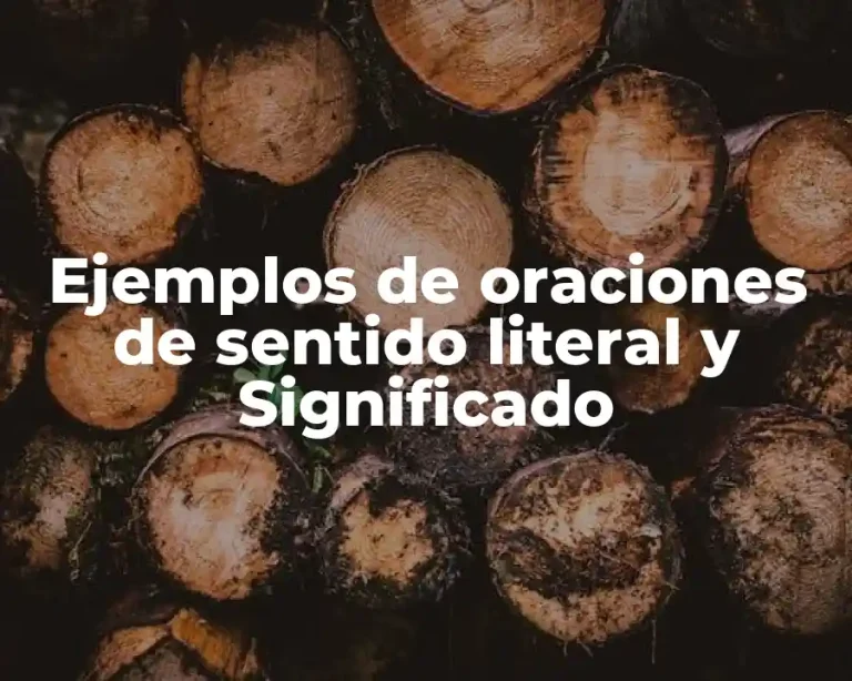 Ejemplos de oraciones de sentido literal y Significado