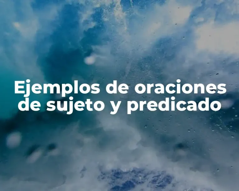 Ejemplos de oraciones de sujeto y predicado