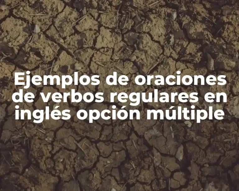 Ejemplos de oraciones de verbos regulares en inglés opción múltiple