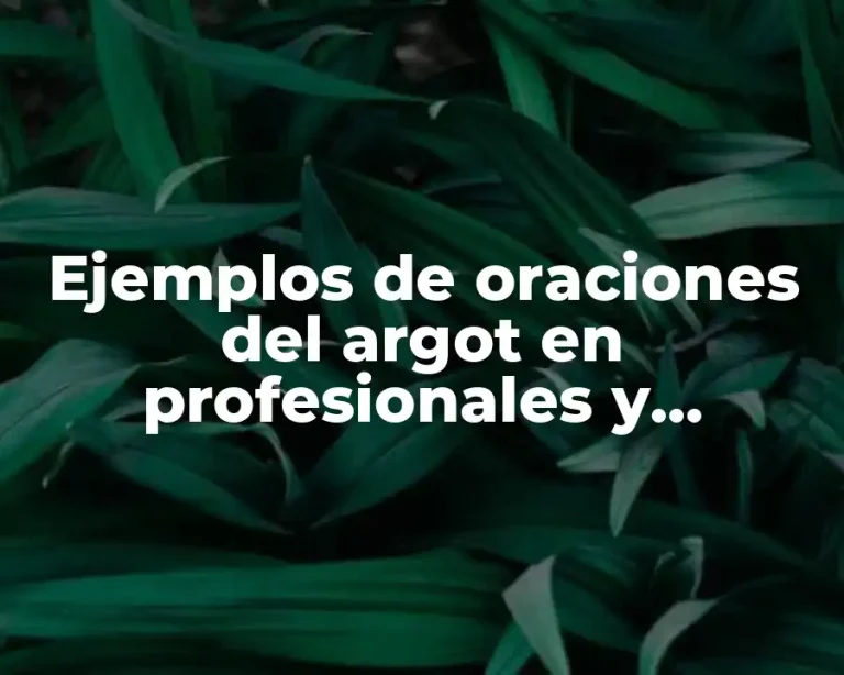 Ejemplos de oraciones del argot en profesionales y Significado