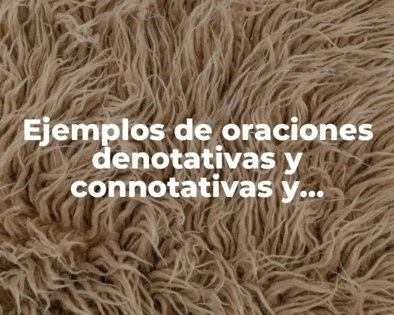 Ejemplos de oraciones denotativas y connotativas y Significado