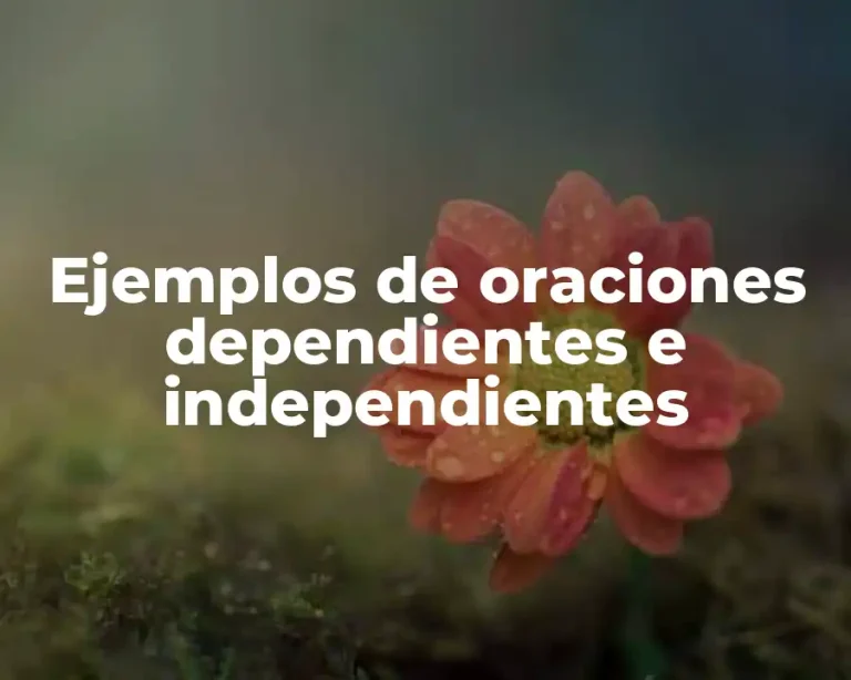 Ejemplos de oraciones dependientes e independientes