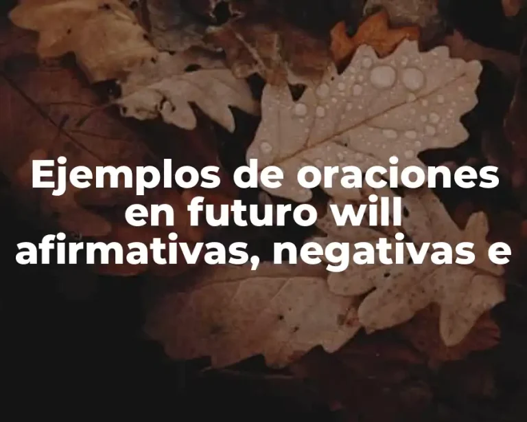 Ejemplos de oraciones en futuro will afirmativas, negativas e