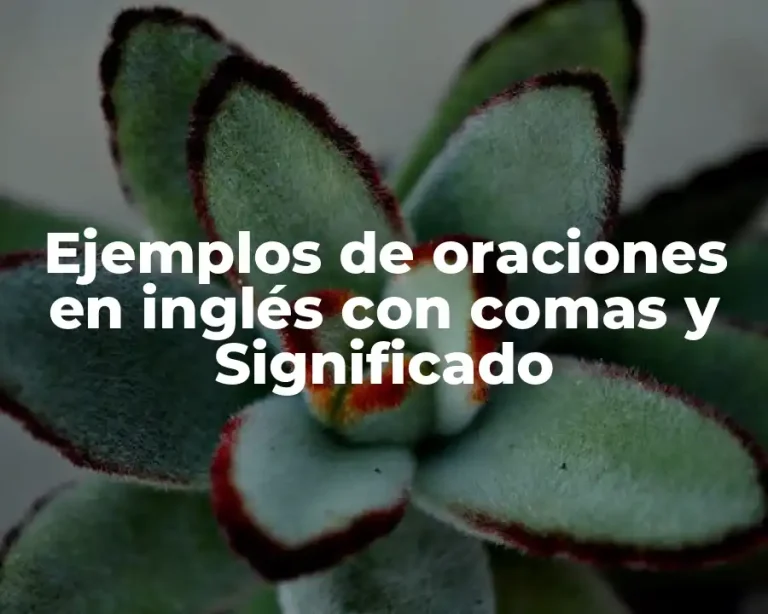 Ejemplos de oraciones en inglés con comas y Significado