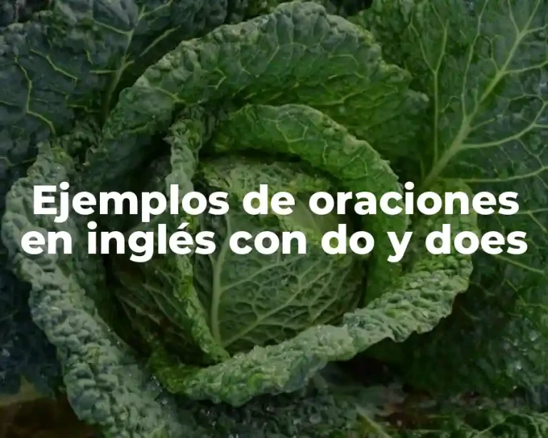 Ejemplos de oraciones en inglés con do y does