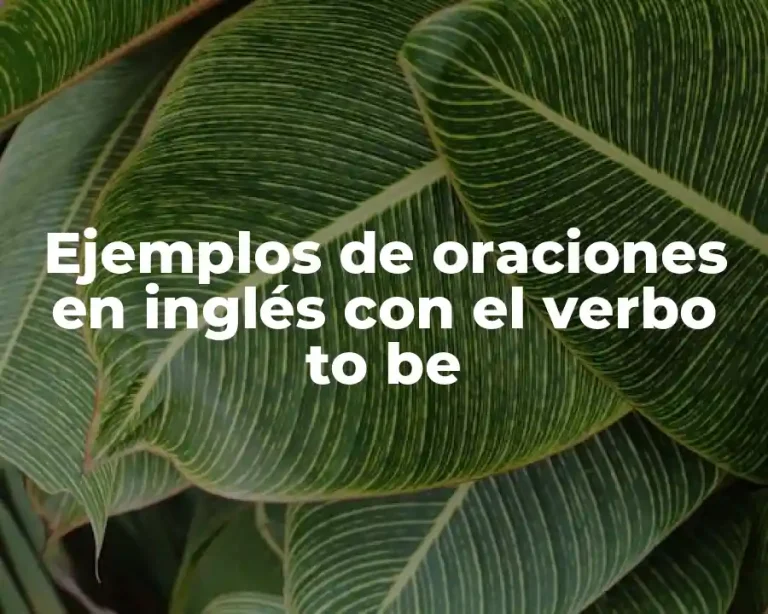 Ejemplos de oraciones en inglés con el verbo to be