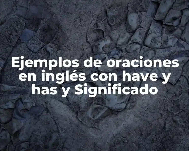 Ejemplos de oraciones en inglés con have y has y Significado