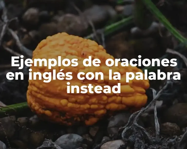 Ejemplos de oraciones en inglés con la palabra instead
