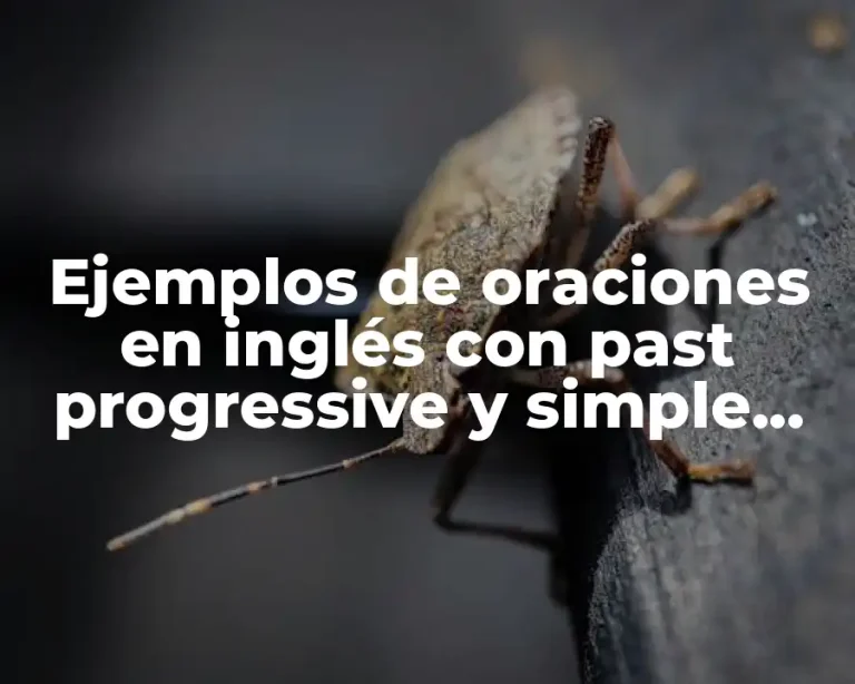 Ejemplos de oraciones en inglés con past progressive y simple past