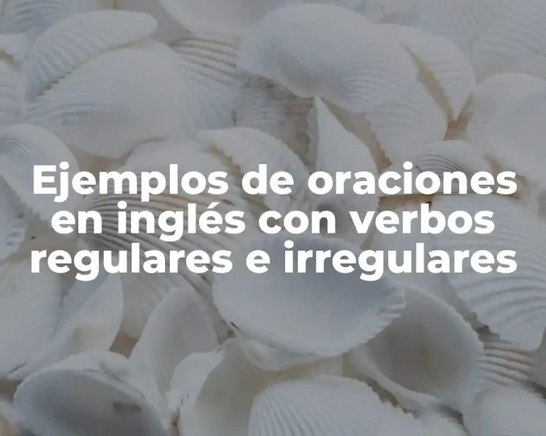Ejemplos de oraciones en inglés con verbos regulares e irregulares