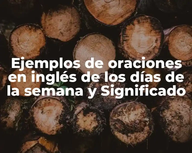 Ejemplos de oraciones en inglés de los días de la semana y Significado