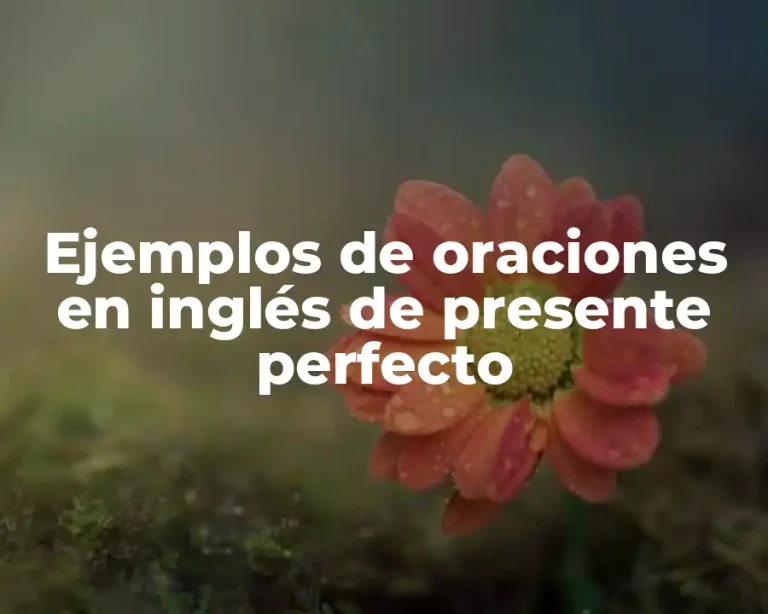 Ejemplos de oraciones en inglés de presente perfecto