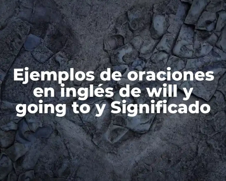 Ejemplos de oraciones en inglés de will y going to y Significado