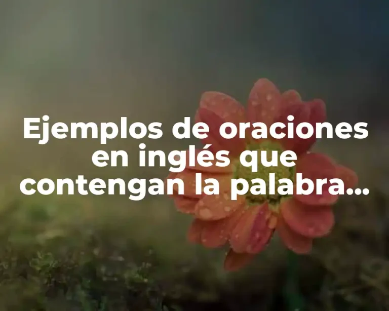 Ejemplos de oraciones en inglés que contengan la palabra foam