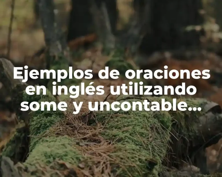Ejemplos de oraciones en inglés utilizando some y uncontable nouns