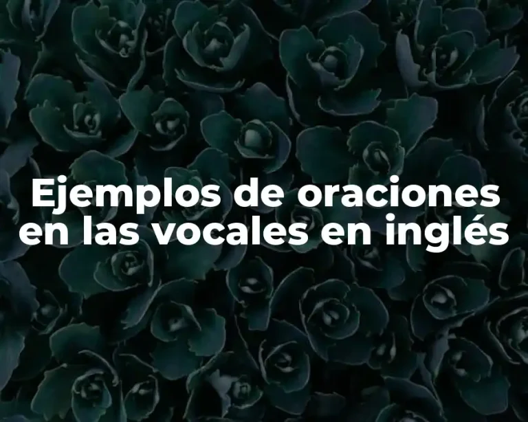 Ejemplos de oraciones en las vocales en inglés