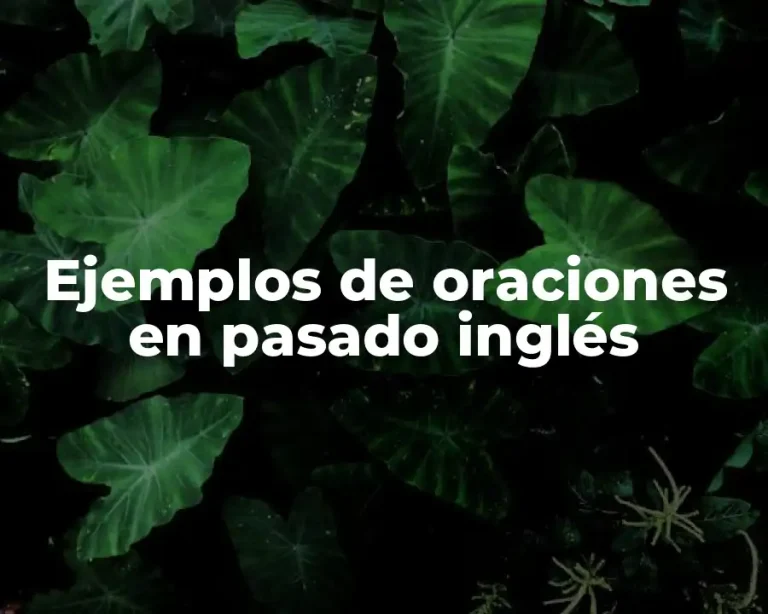 Ejemplos de oraciones en pasado inglés
