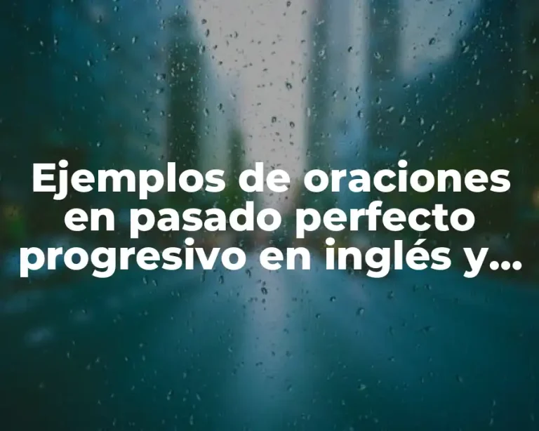 Ejemplos de oraciones en pasado perfecto progresivo en inglés y Significado