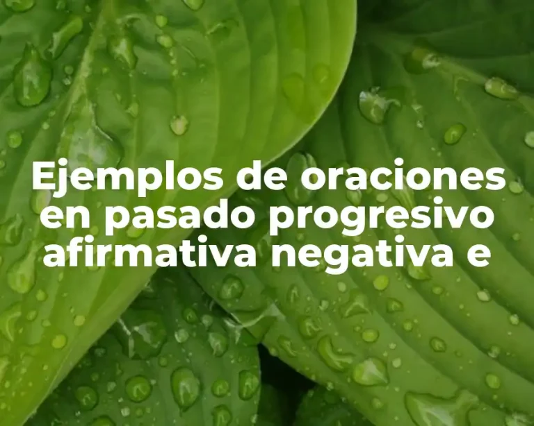 Ejemplos de oraciones en pasado progresivo afirmativa negativa e
