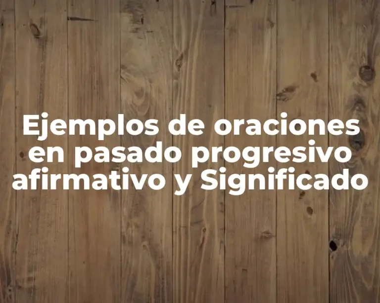 Ejemplos de oraciones en pasado progresivo afirmativo y Significado
